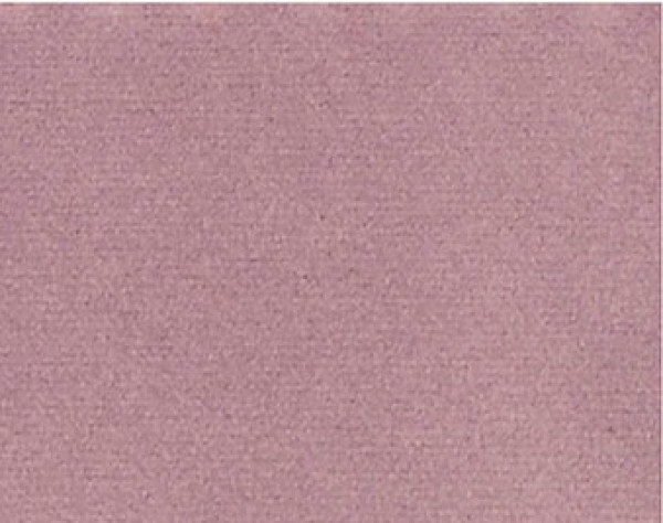 Image of ZURIE 24