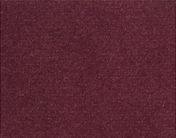 Image of ZURIE 29