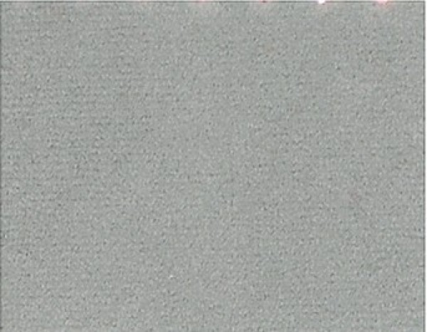Image of ZURIE 40