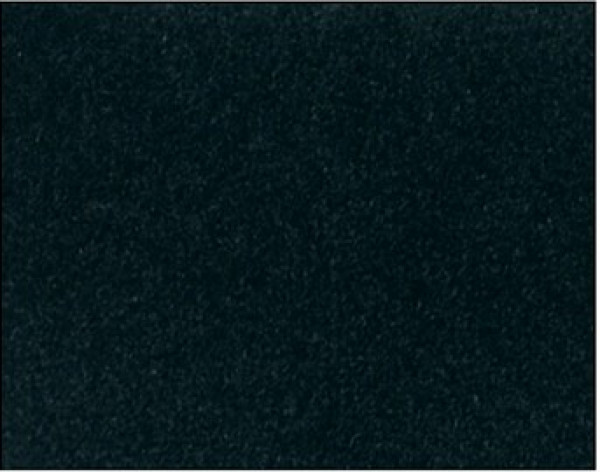 Image of ZURIE 65
