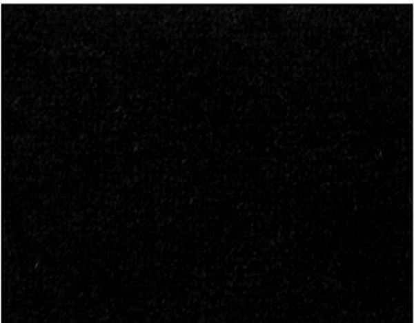 Image of ZURIE 74
