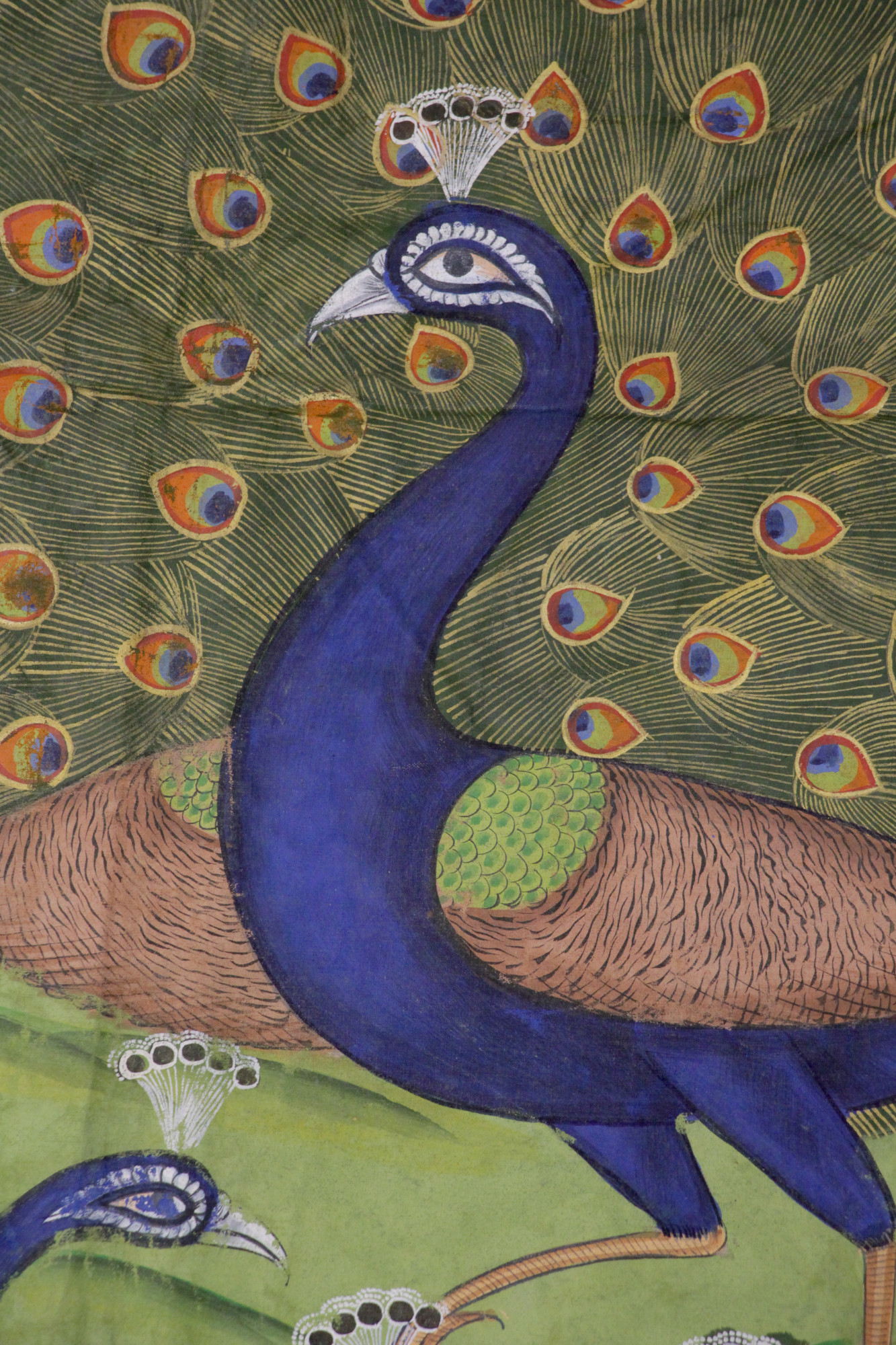 Mayur Vihar Peacock Garden Pichwai