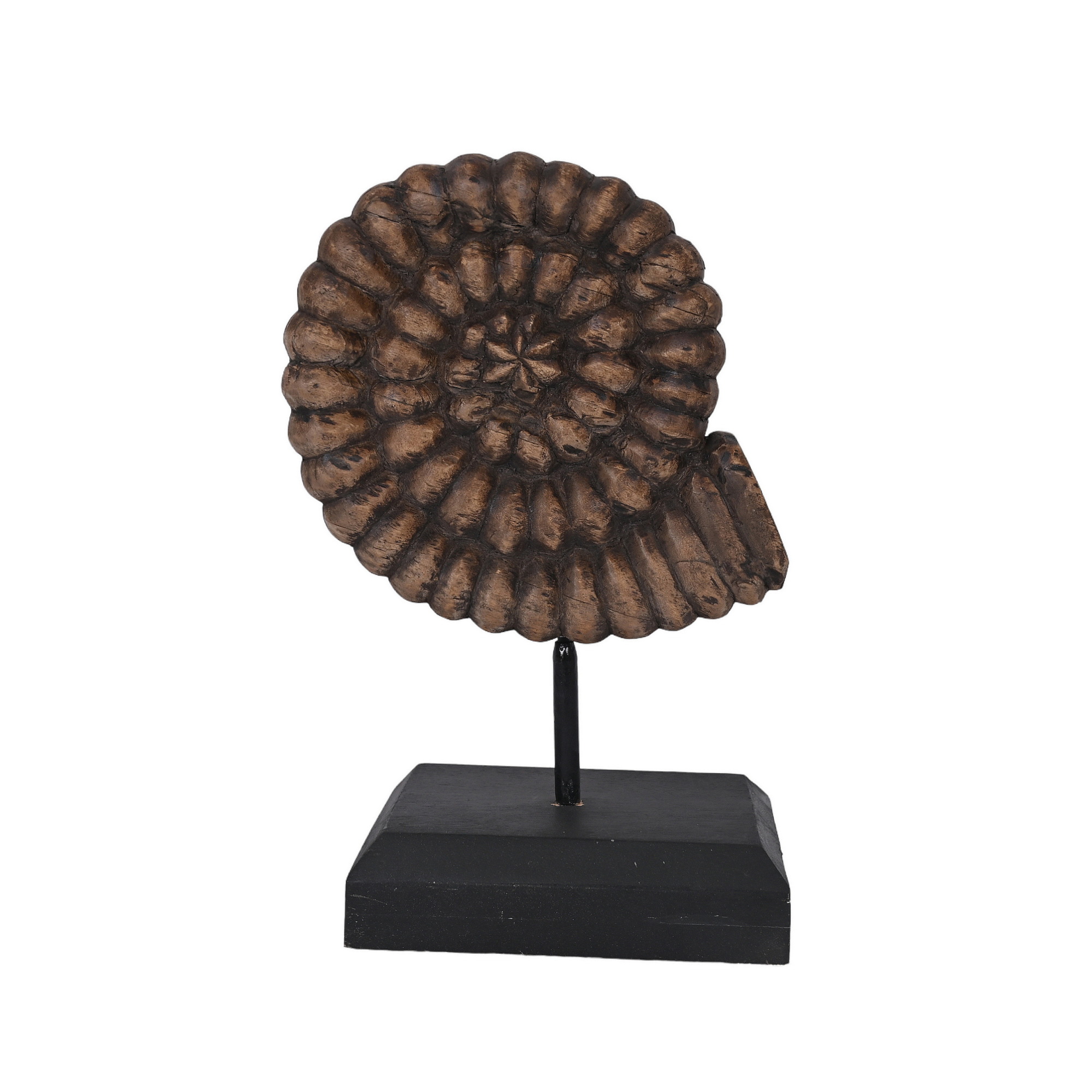 Wooden shells - set of 2