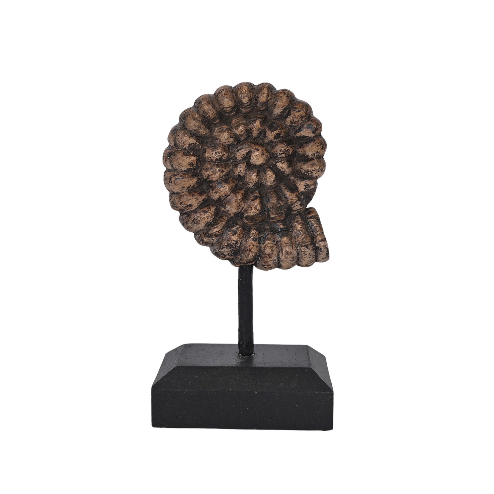 Wooden shells - set of 2