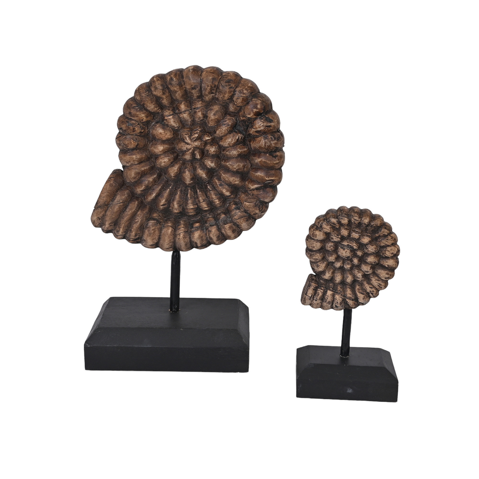 Wooden shells - set of 2