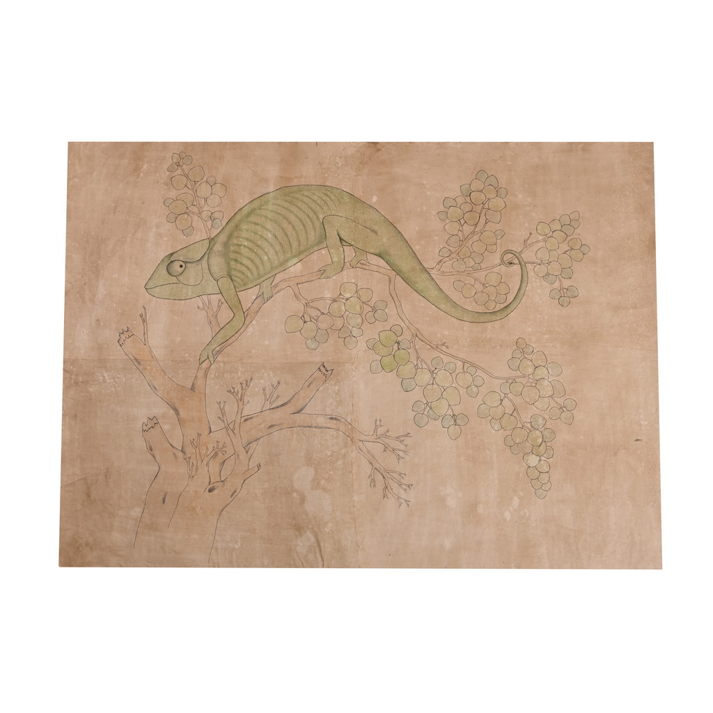 chameleon Painting