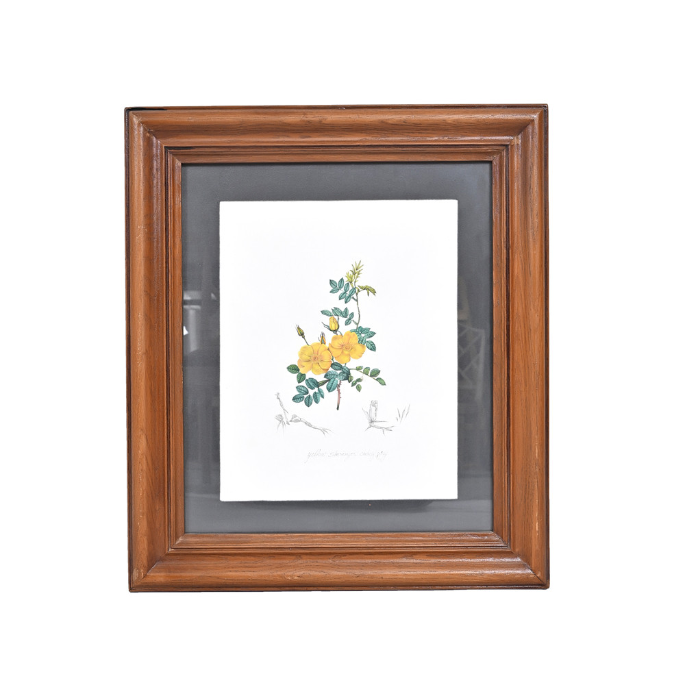 Golden Blossom Study