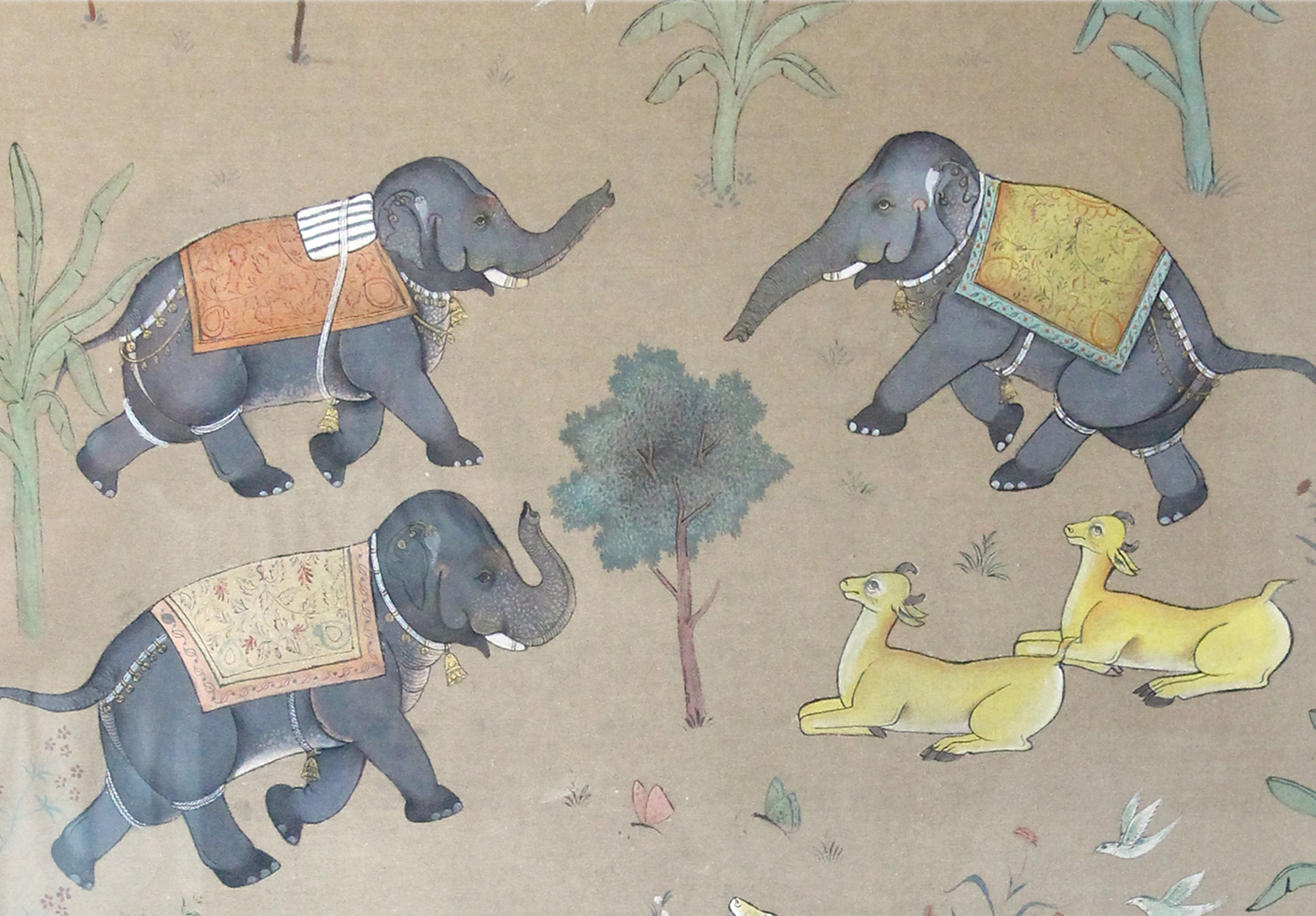 Wild Harmony