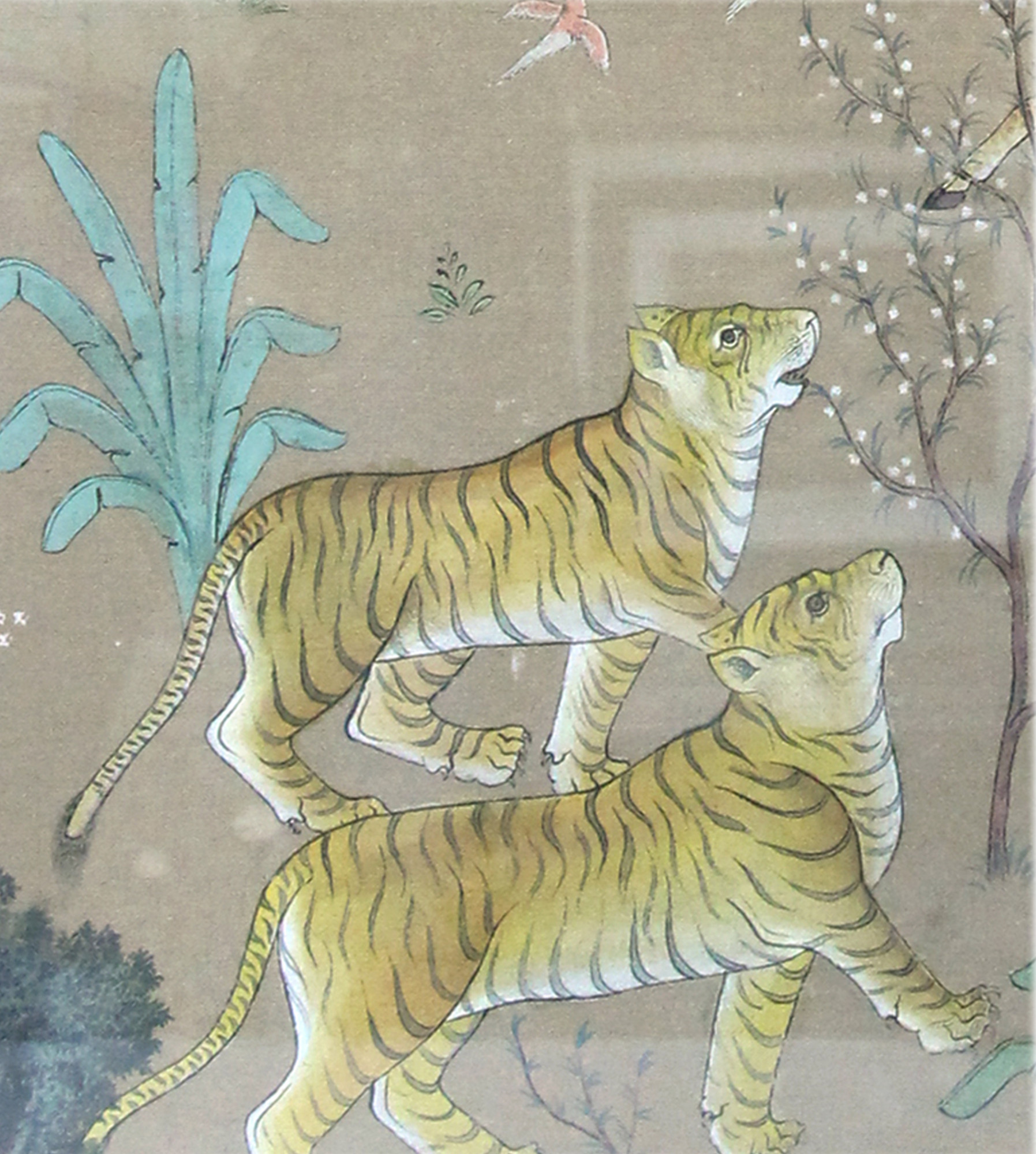 Wild Harmony