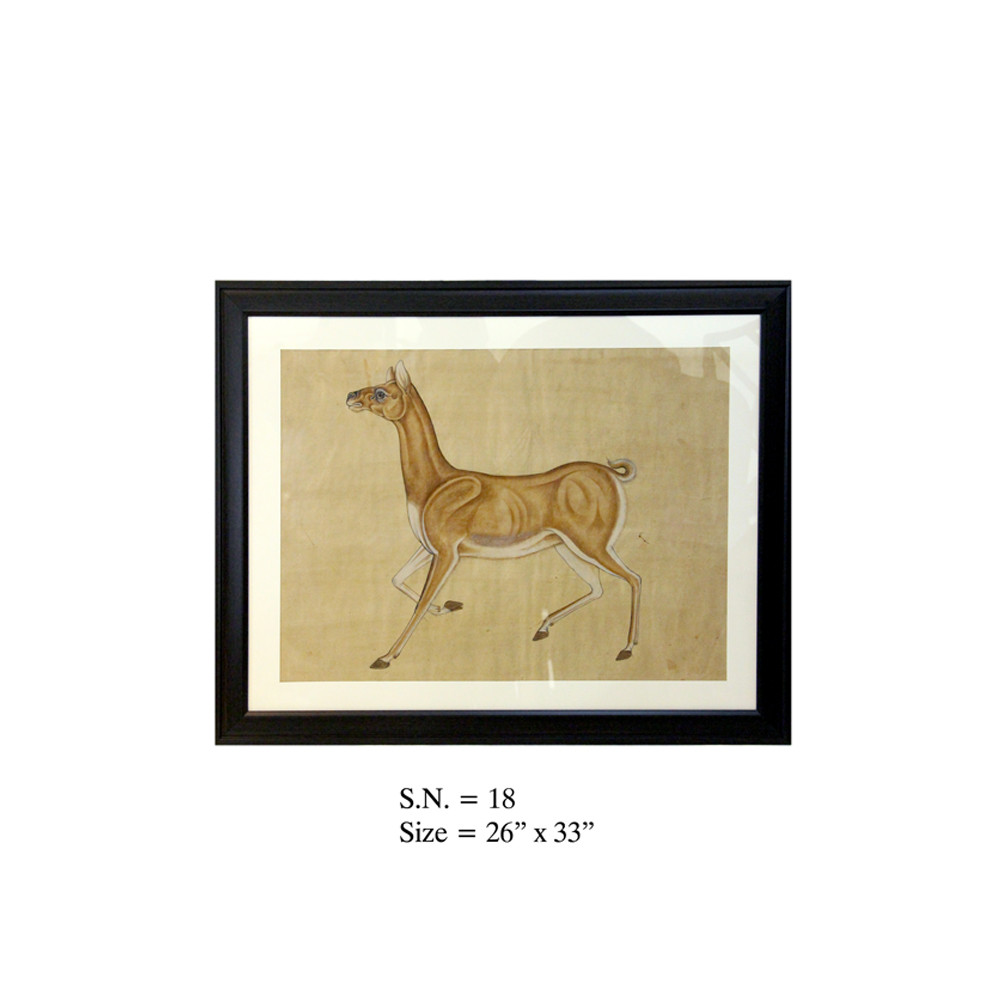 The Graceful Stag