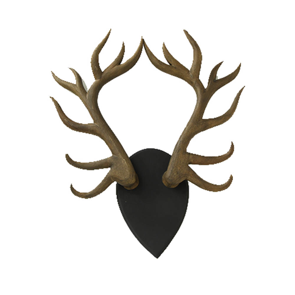 Deer Stag wooden Antlers on a Wall Mount