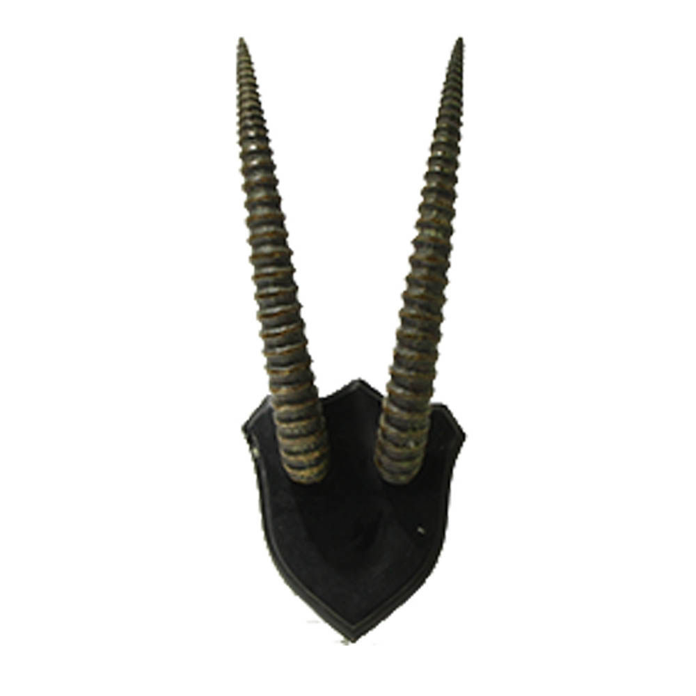 wooden Antlers on a Wall Mount