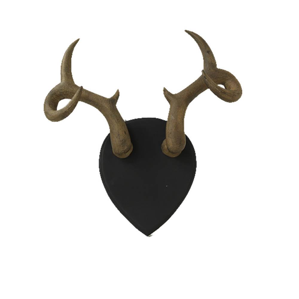 wooden Antlers on a Wall Mount