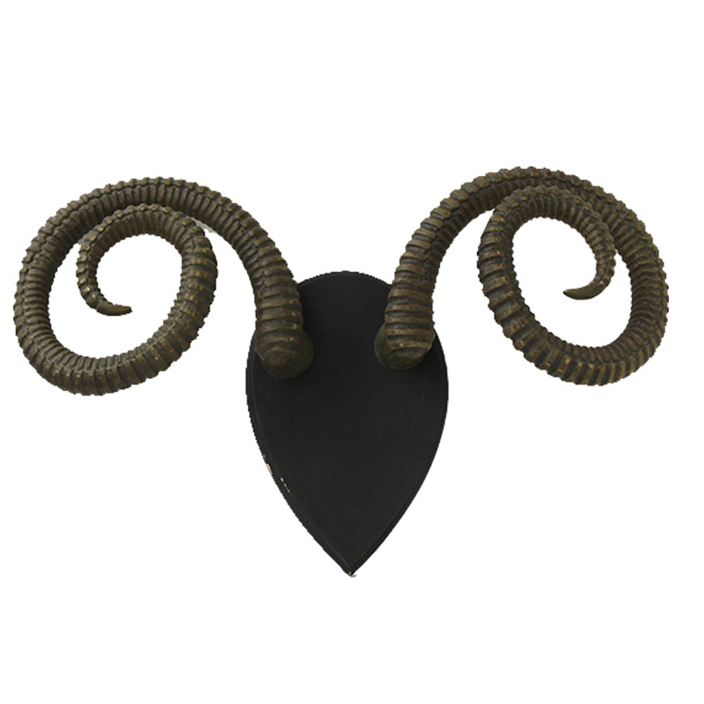 wooden Antlers on a Wall Mount
