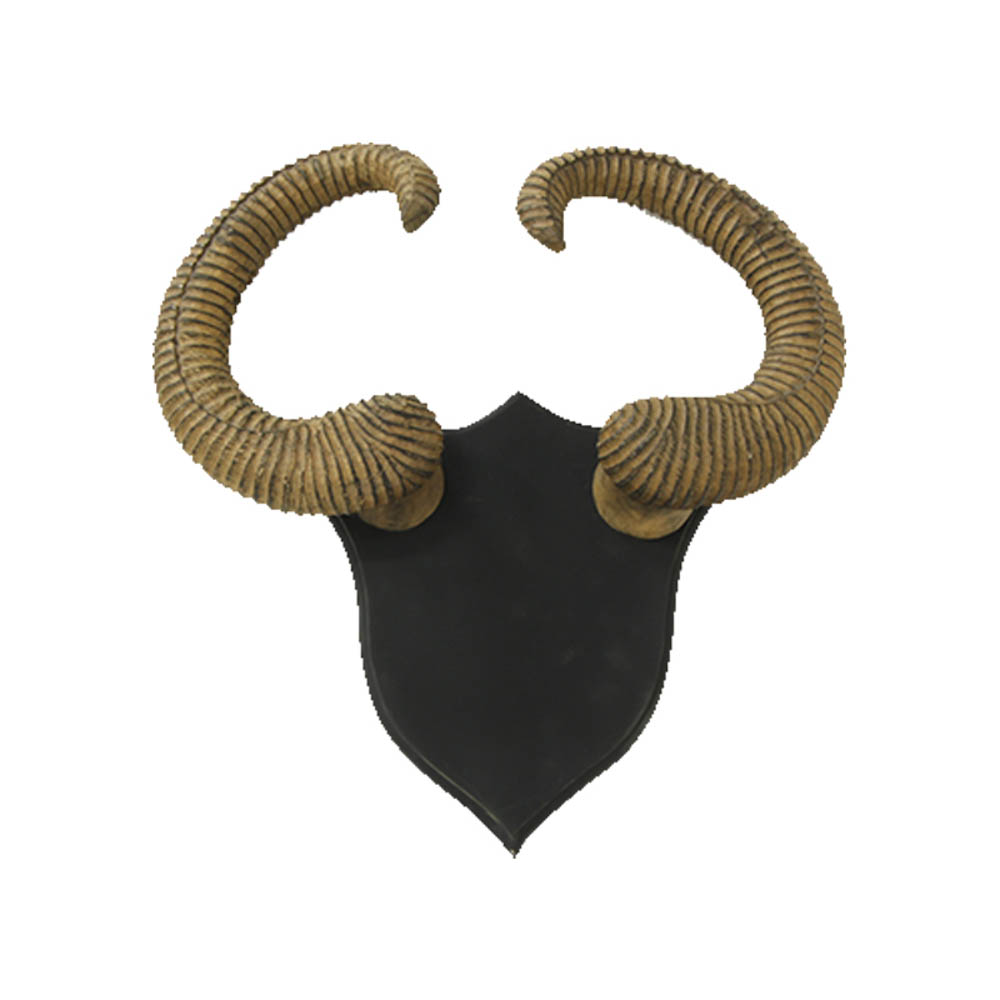 wooden Antlers on a Wall Mount