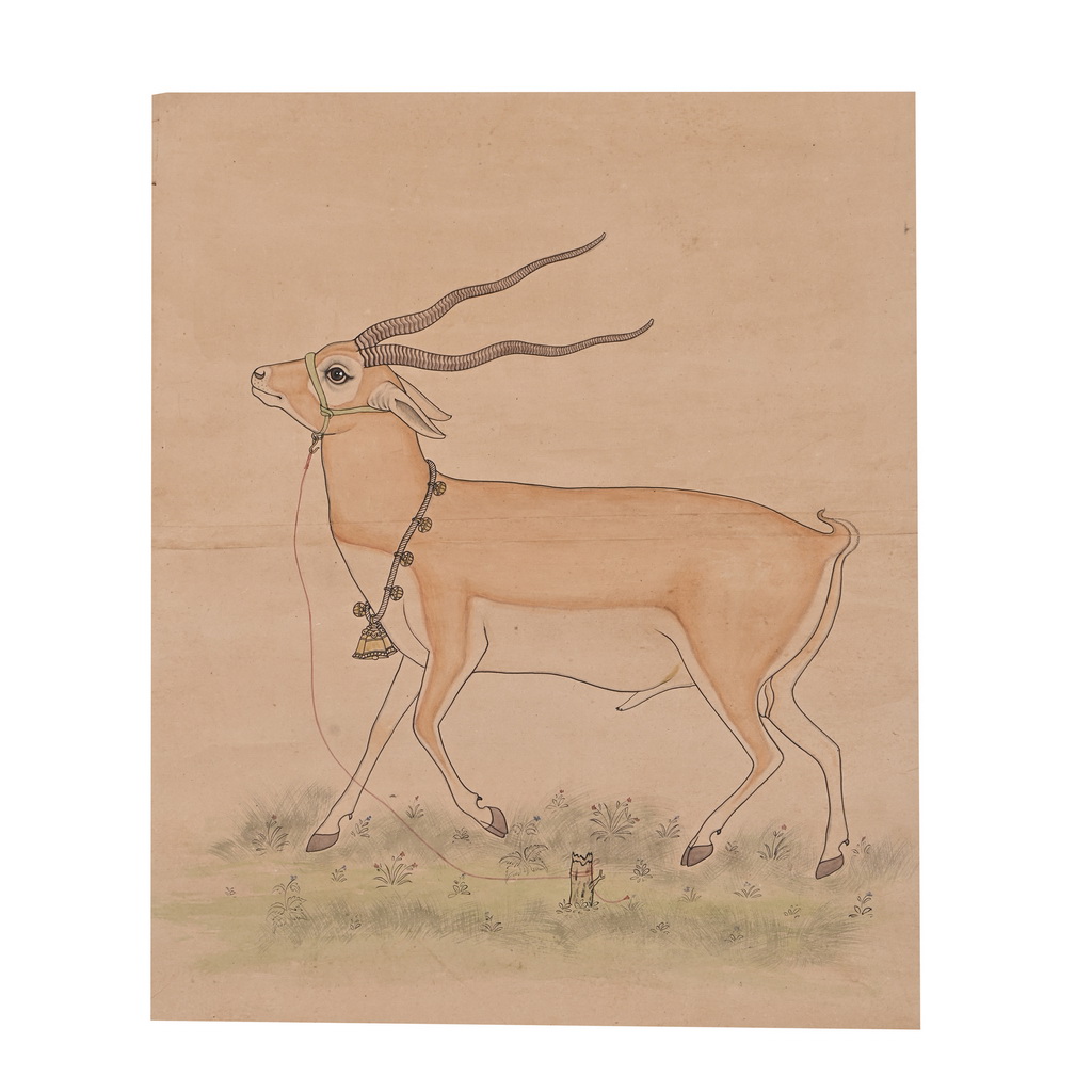 Deer Painting