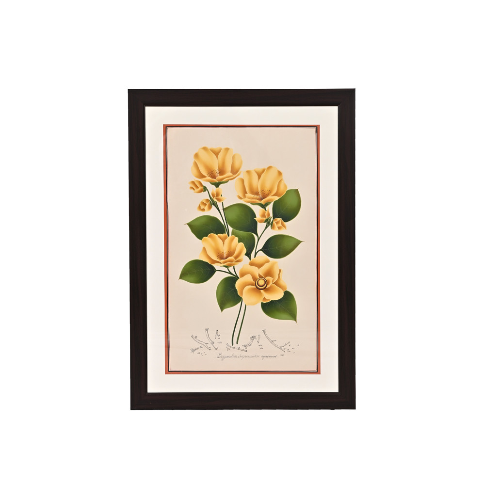 Golden Magnolia
