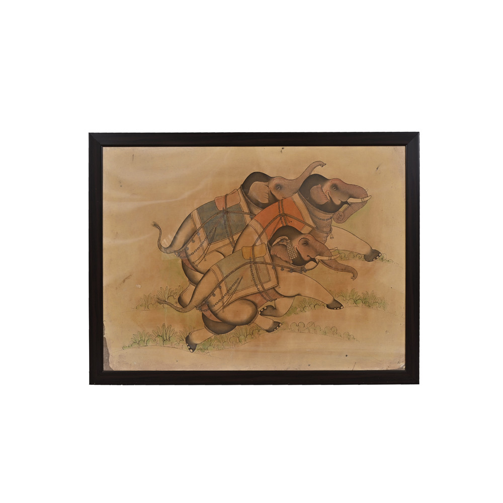 Elephants on run