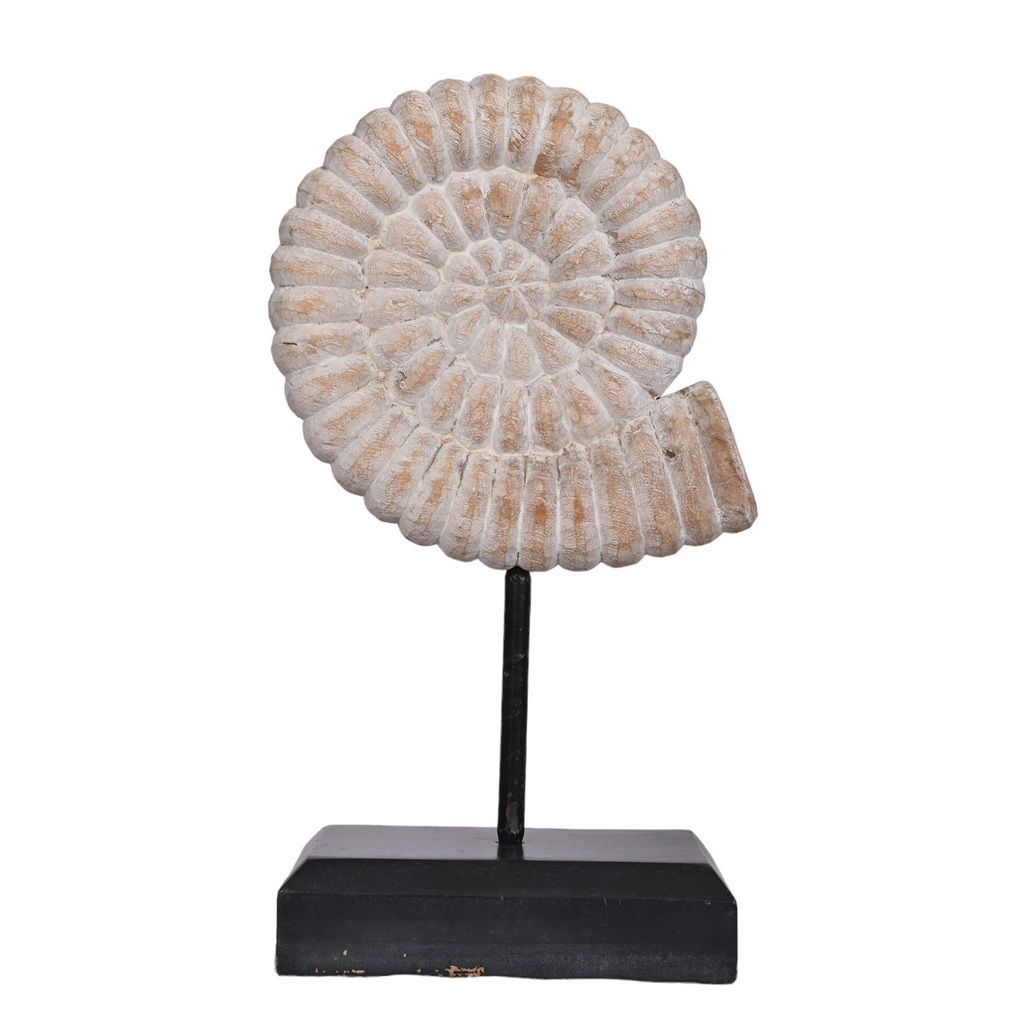 Wooden shells - set of 2