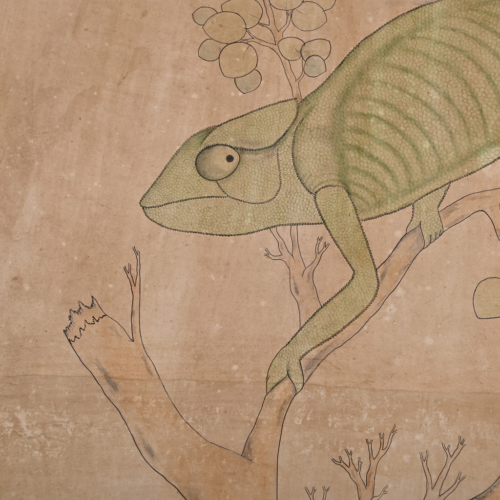 chameleon Painting