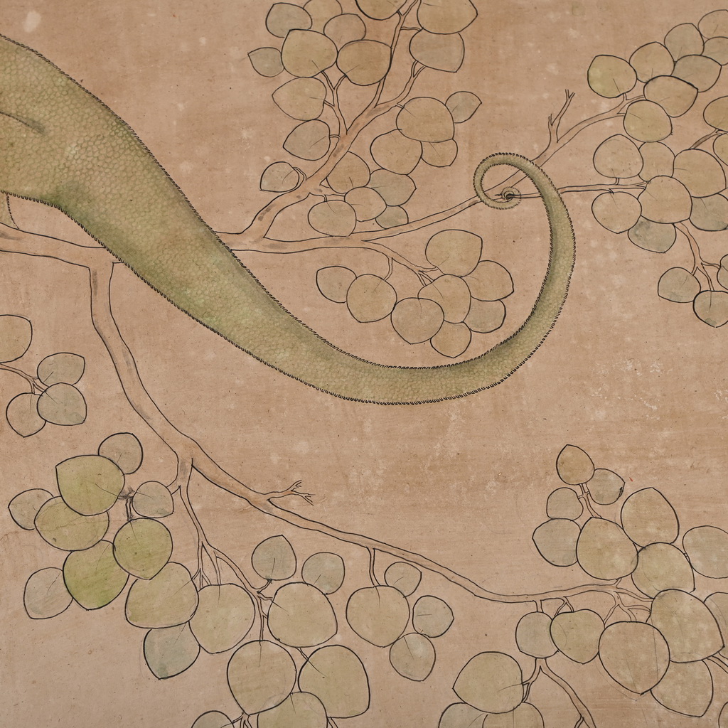 chameleon Painting