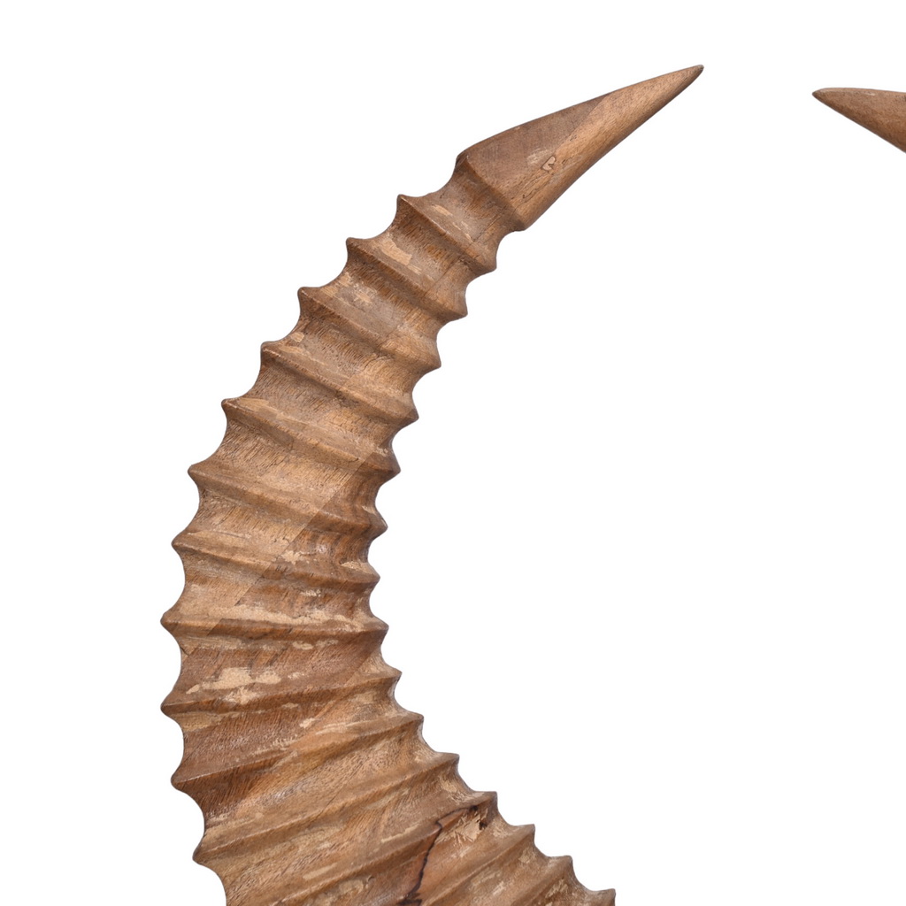 Horn of the Highlands