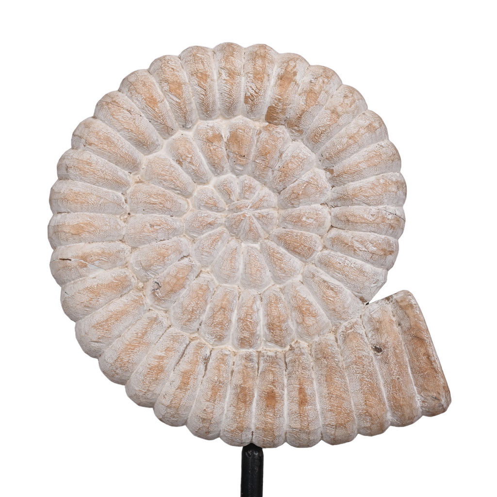 Wooden shells - set of 2