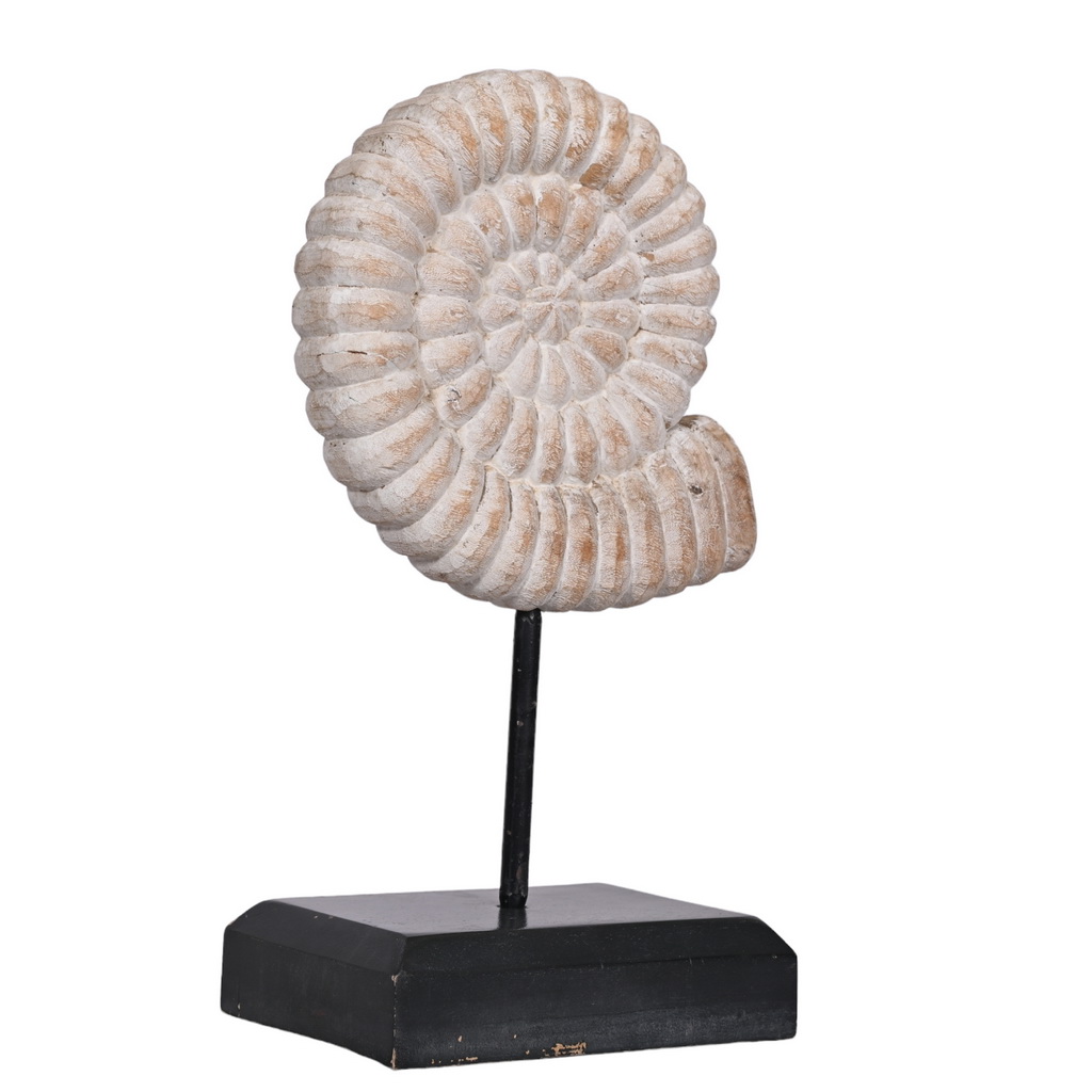 Wooden shells - set of 2