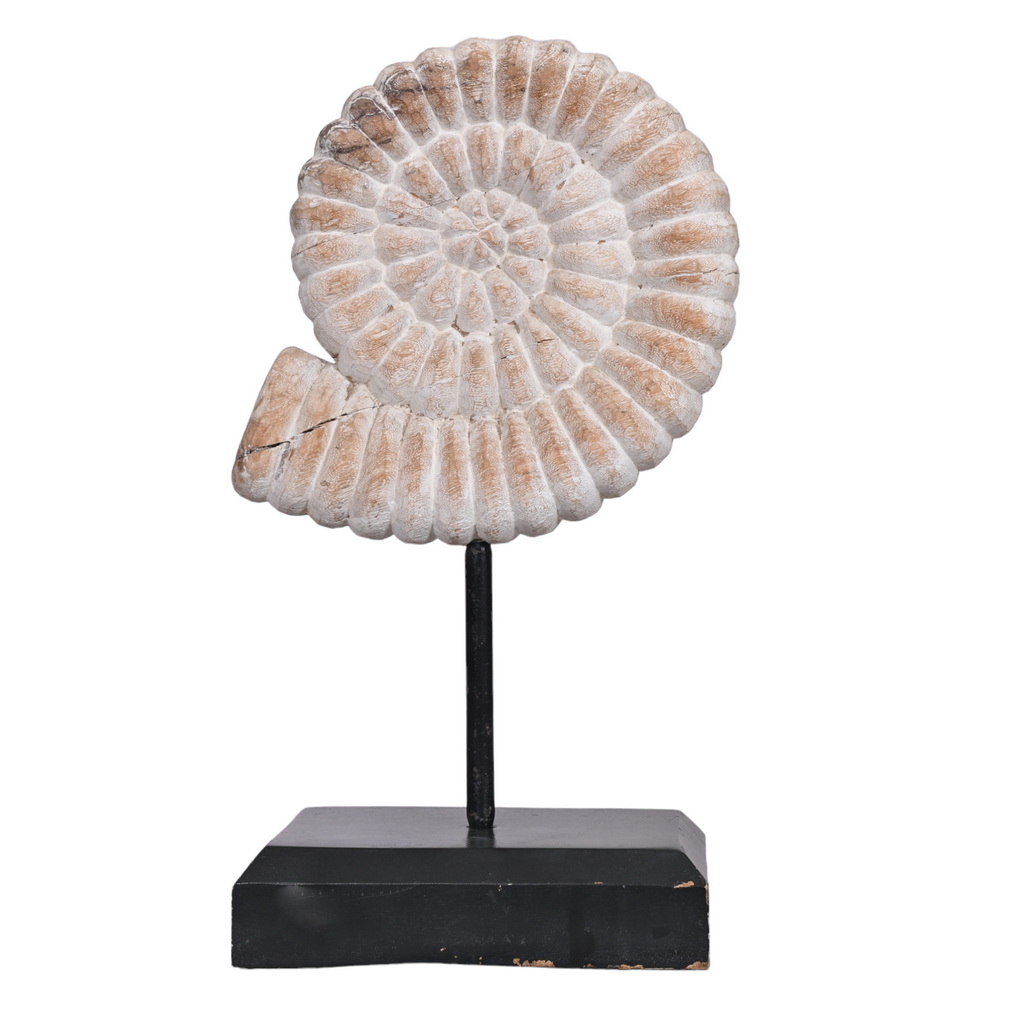 Wooden shells - set of 2