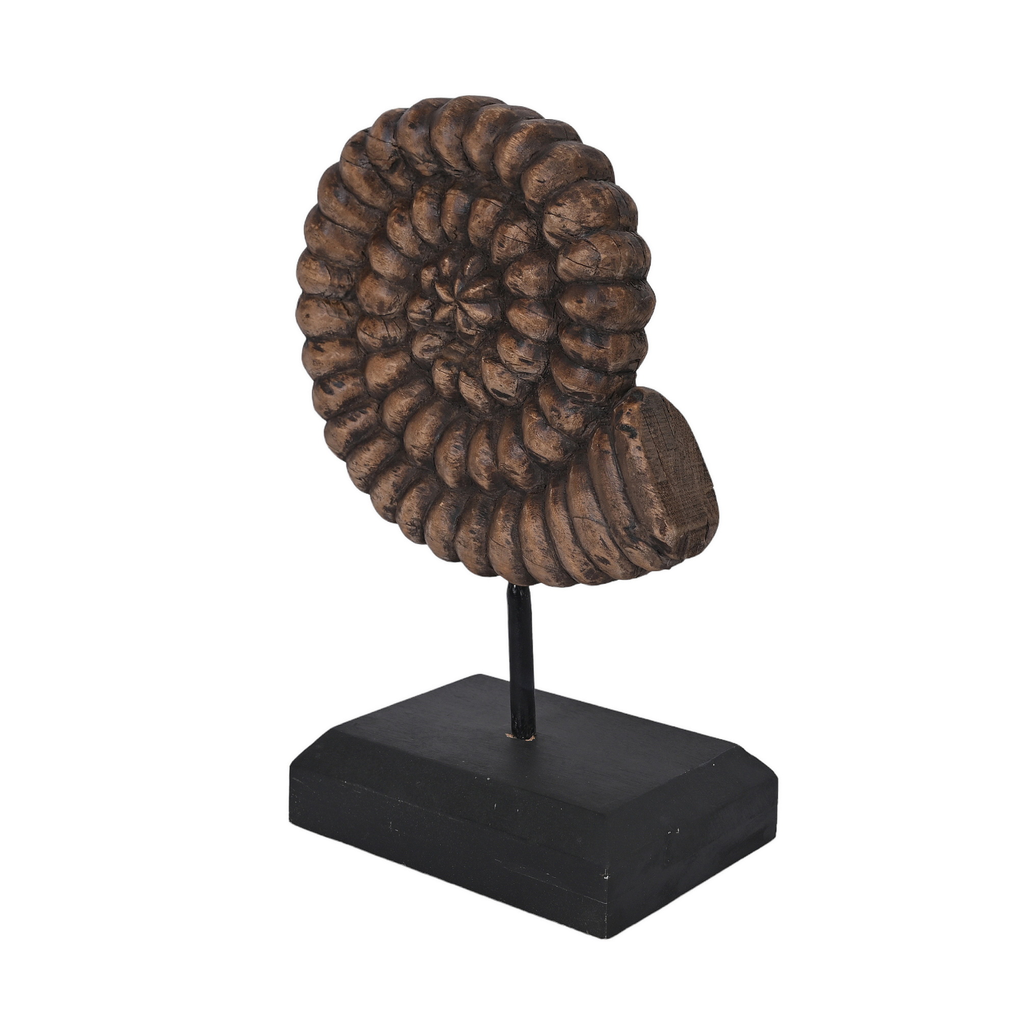 Wooden shells - set of 2