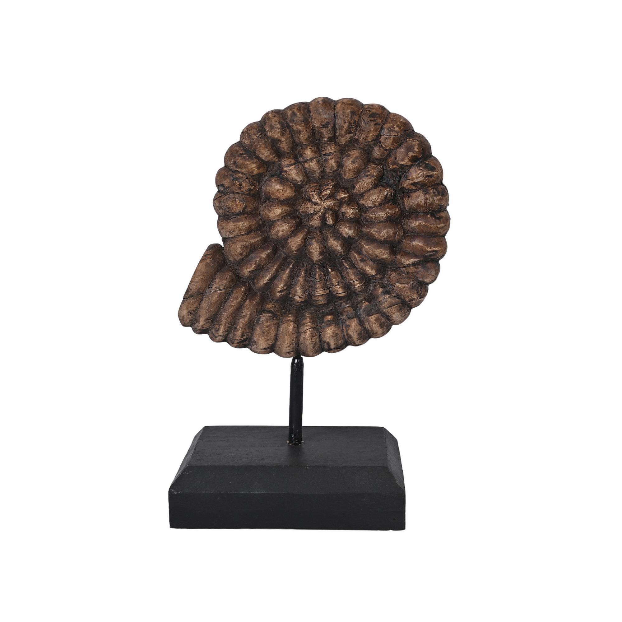 Wooden shells - set of 2