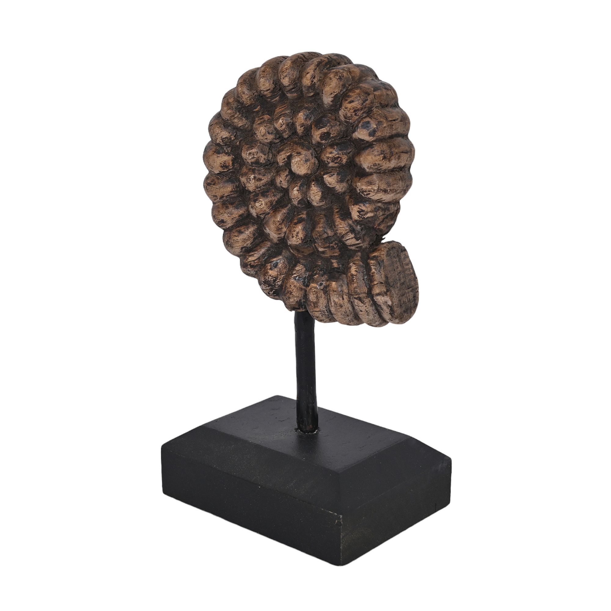 Wooden shells - set of 2