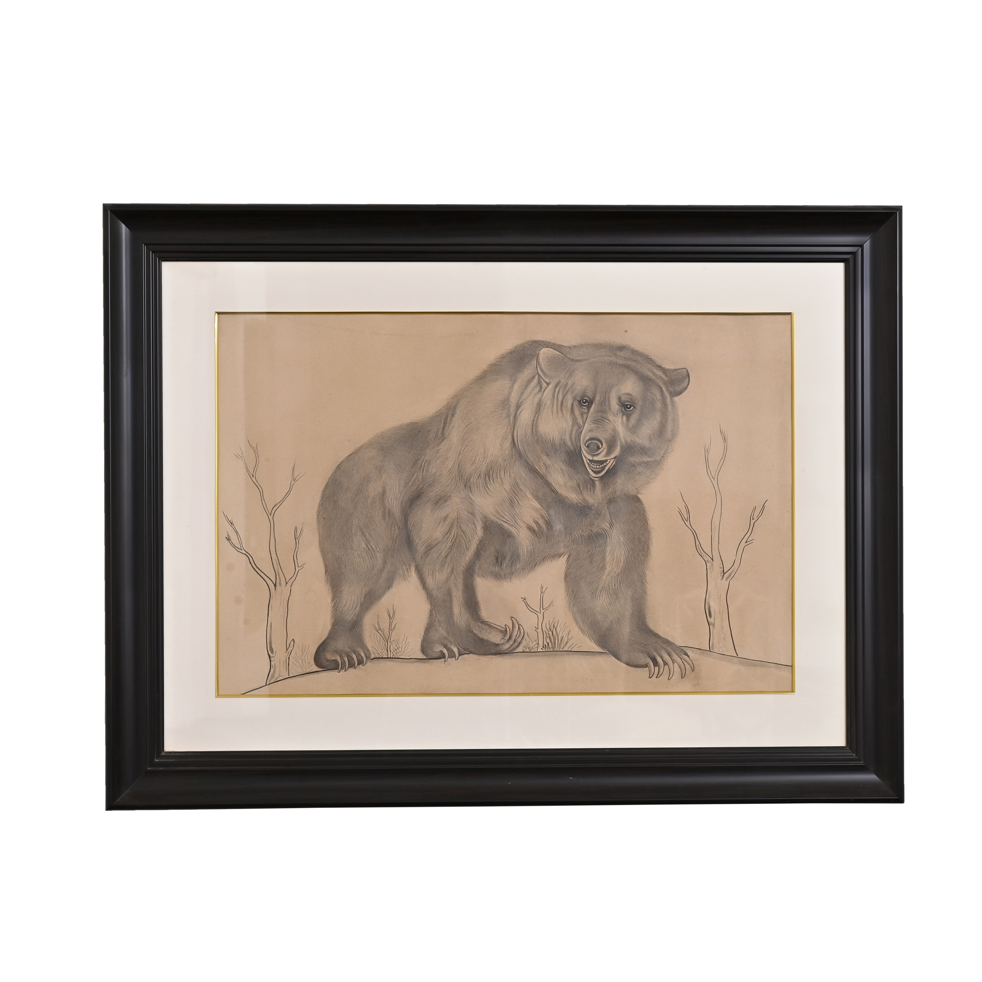 Bear water colour painting