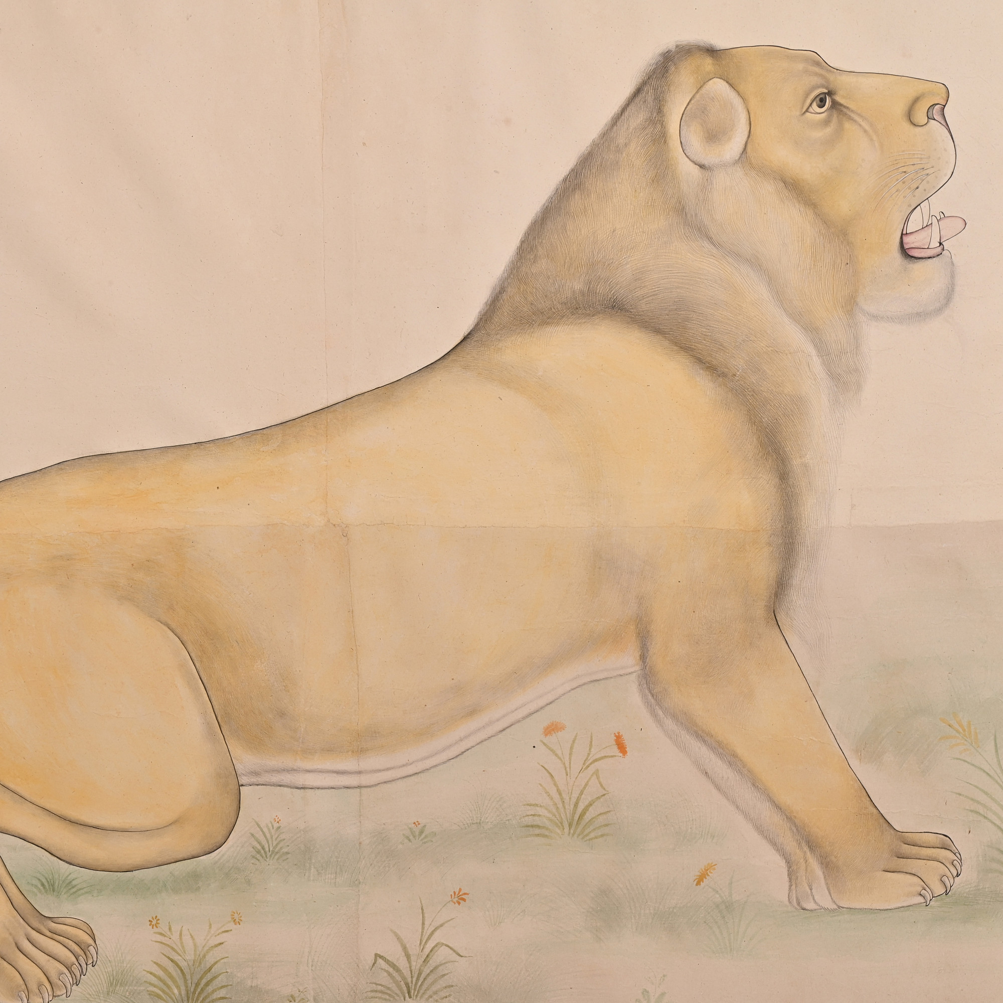 Lion painting