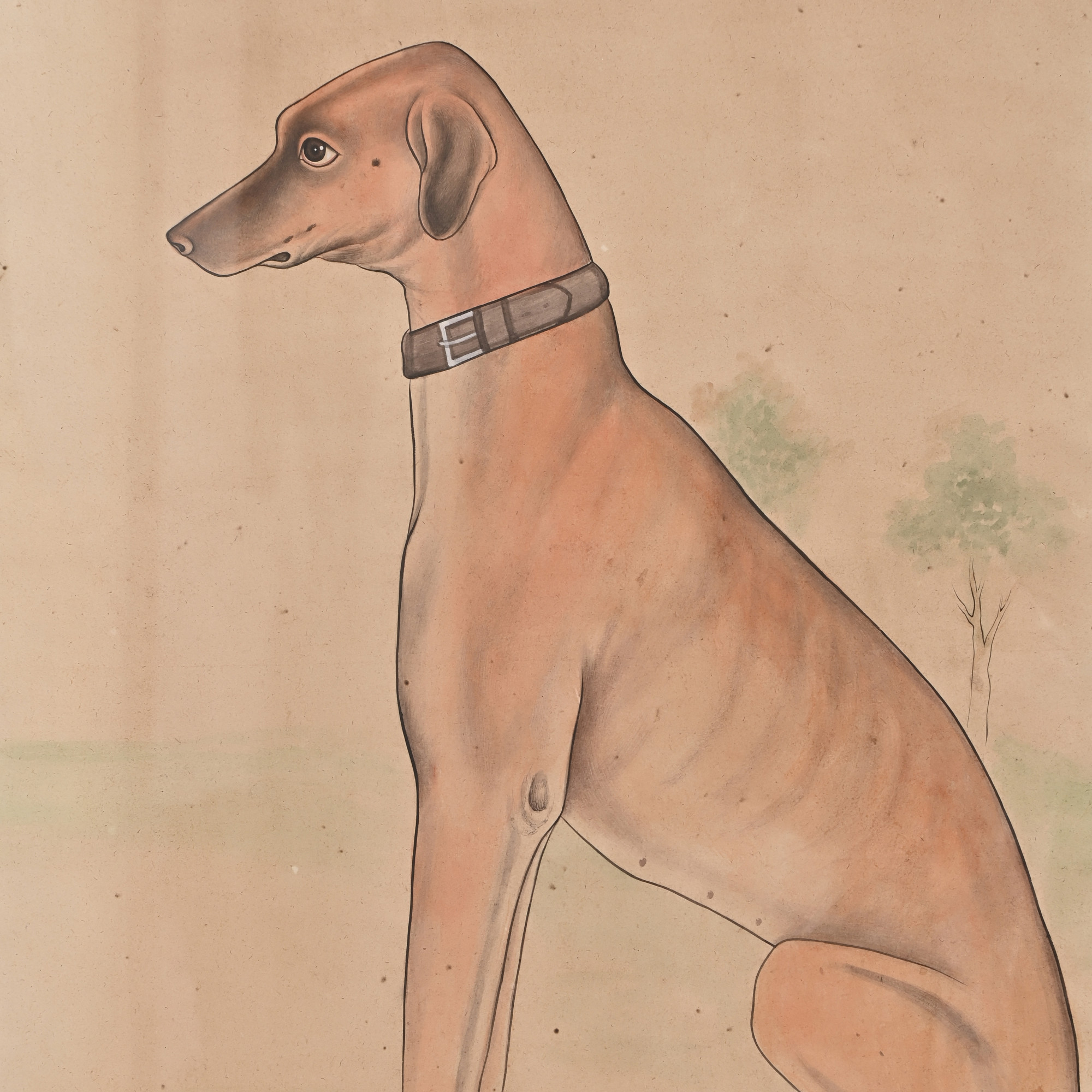 Dog painting