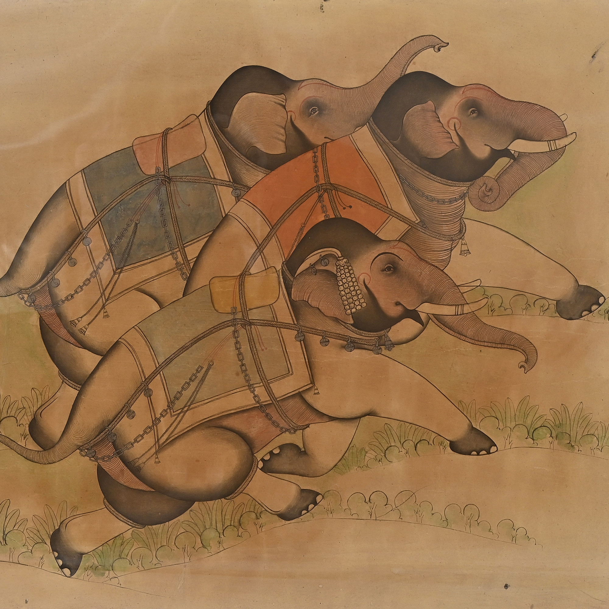 Elephants on run
