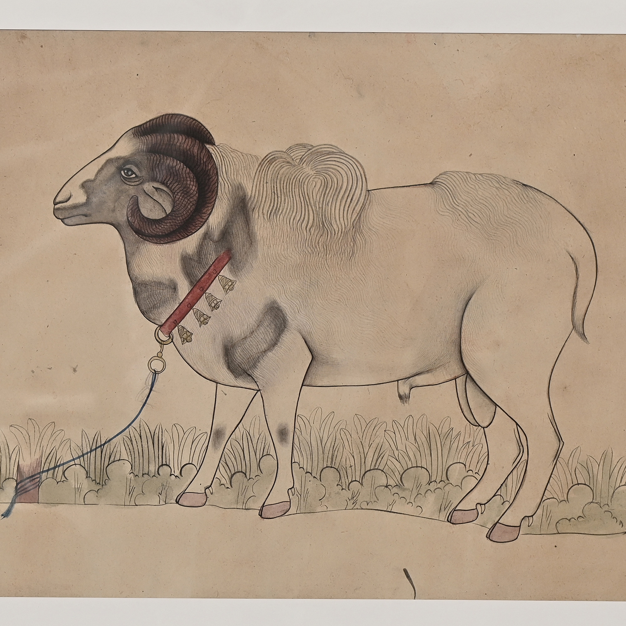 Sheep Painting