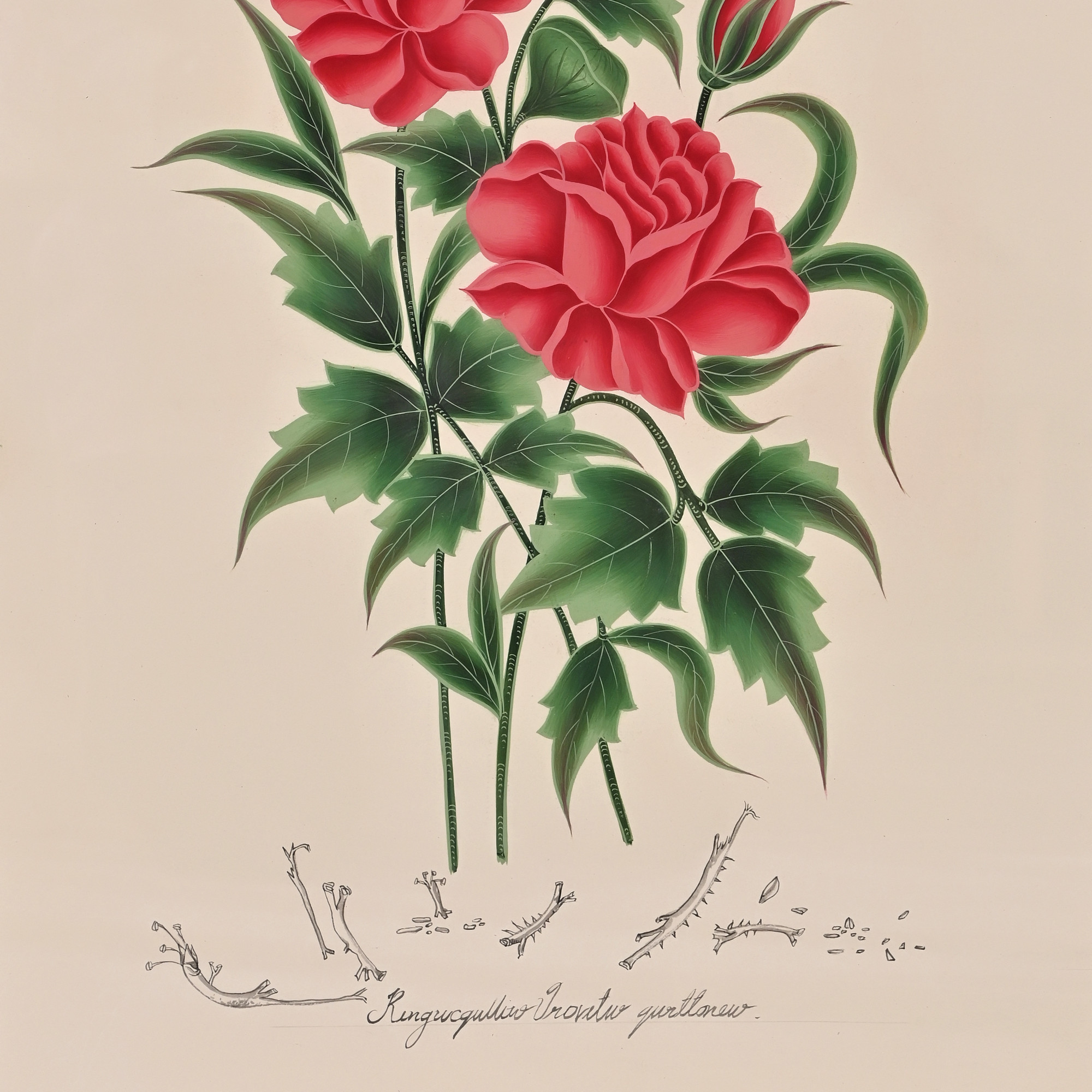 Crimson Bloom