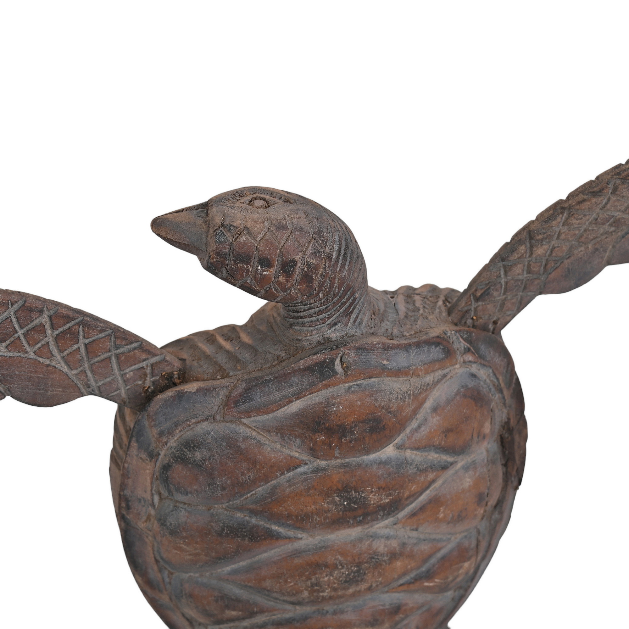 Wooden tortoise - L