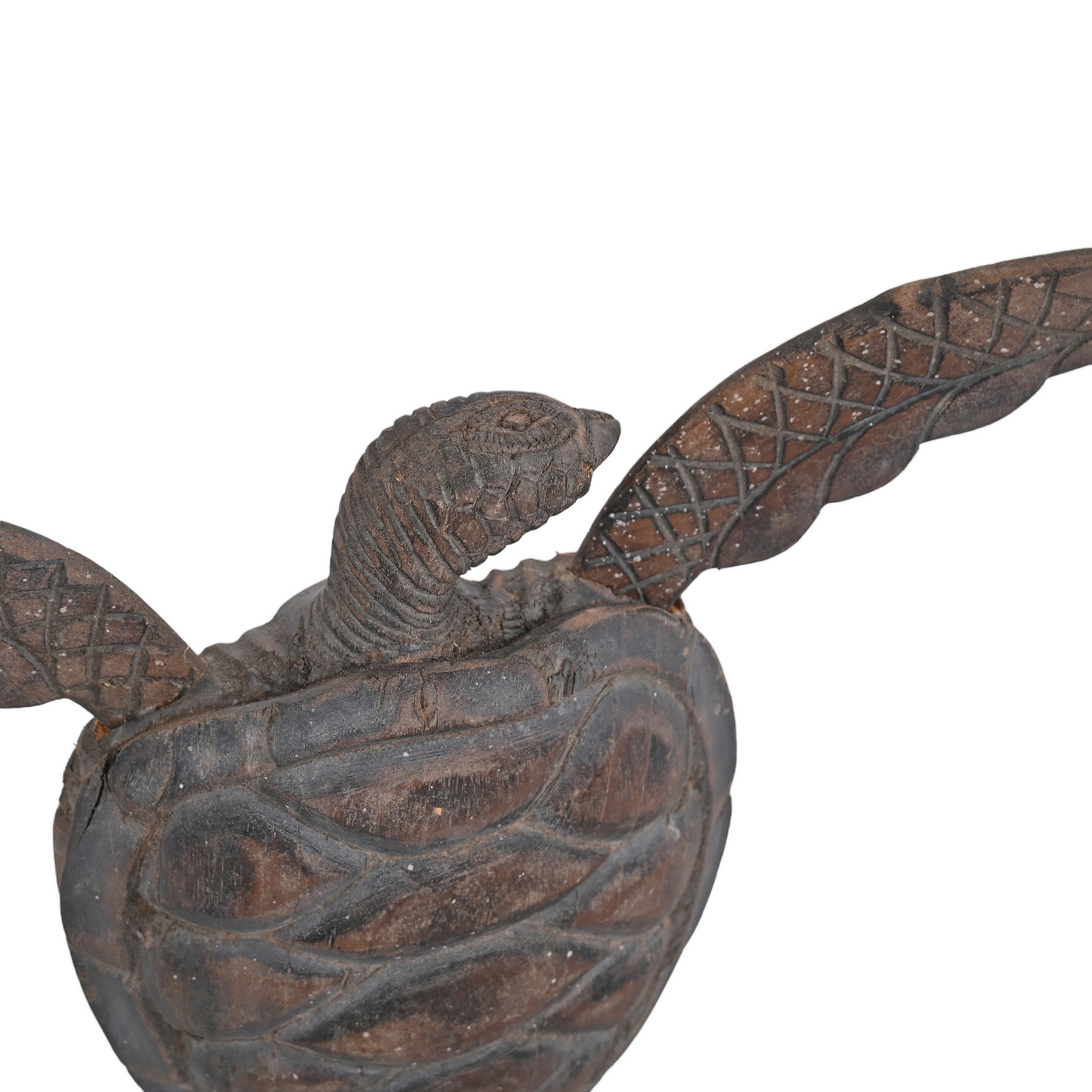 Wooden tortoise - L