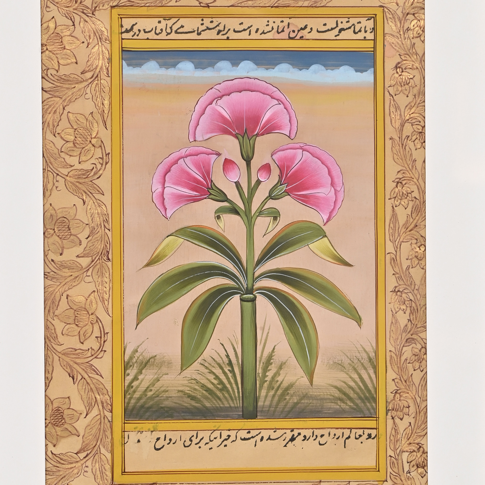 Pink Blossom