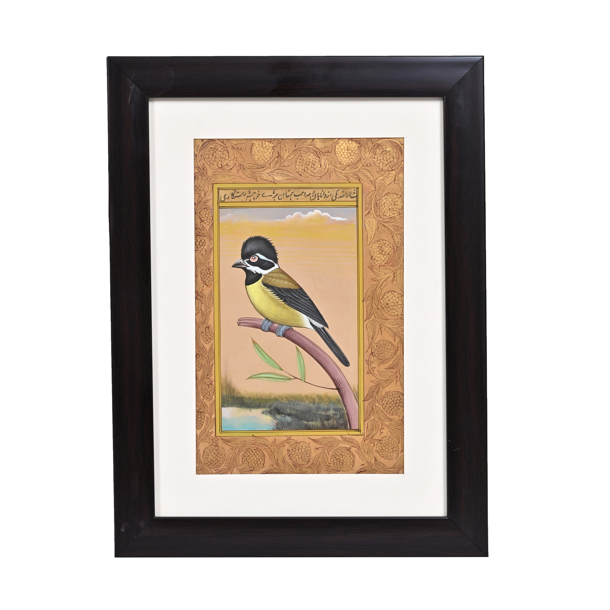 Crested Songbird