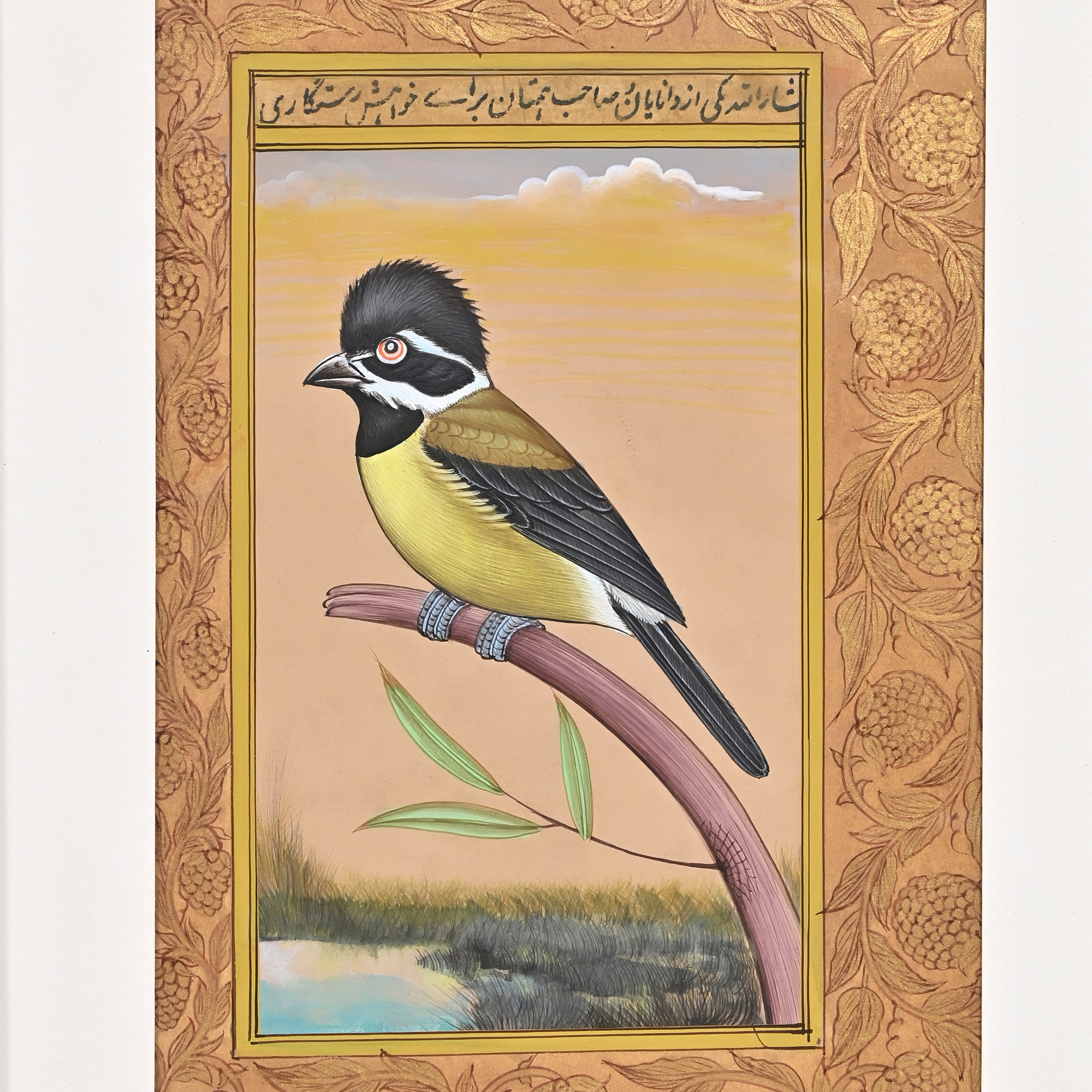 Crested Songbird