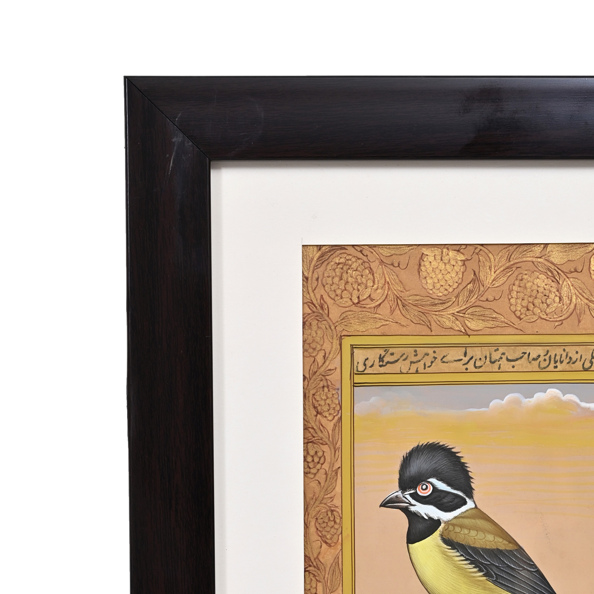 Crested Songbird