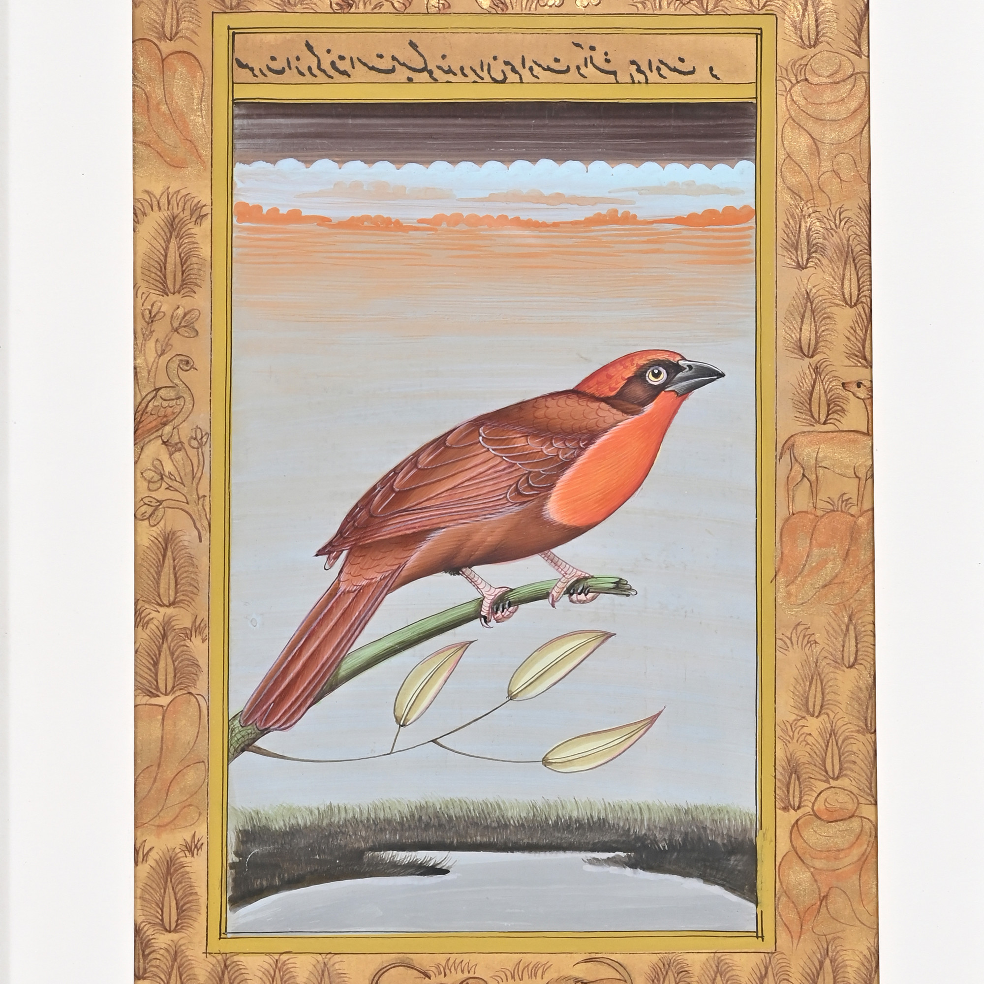 Scarlet Songbird