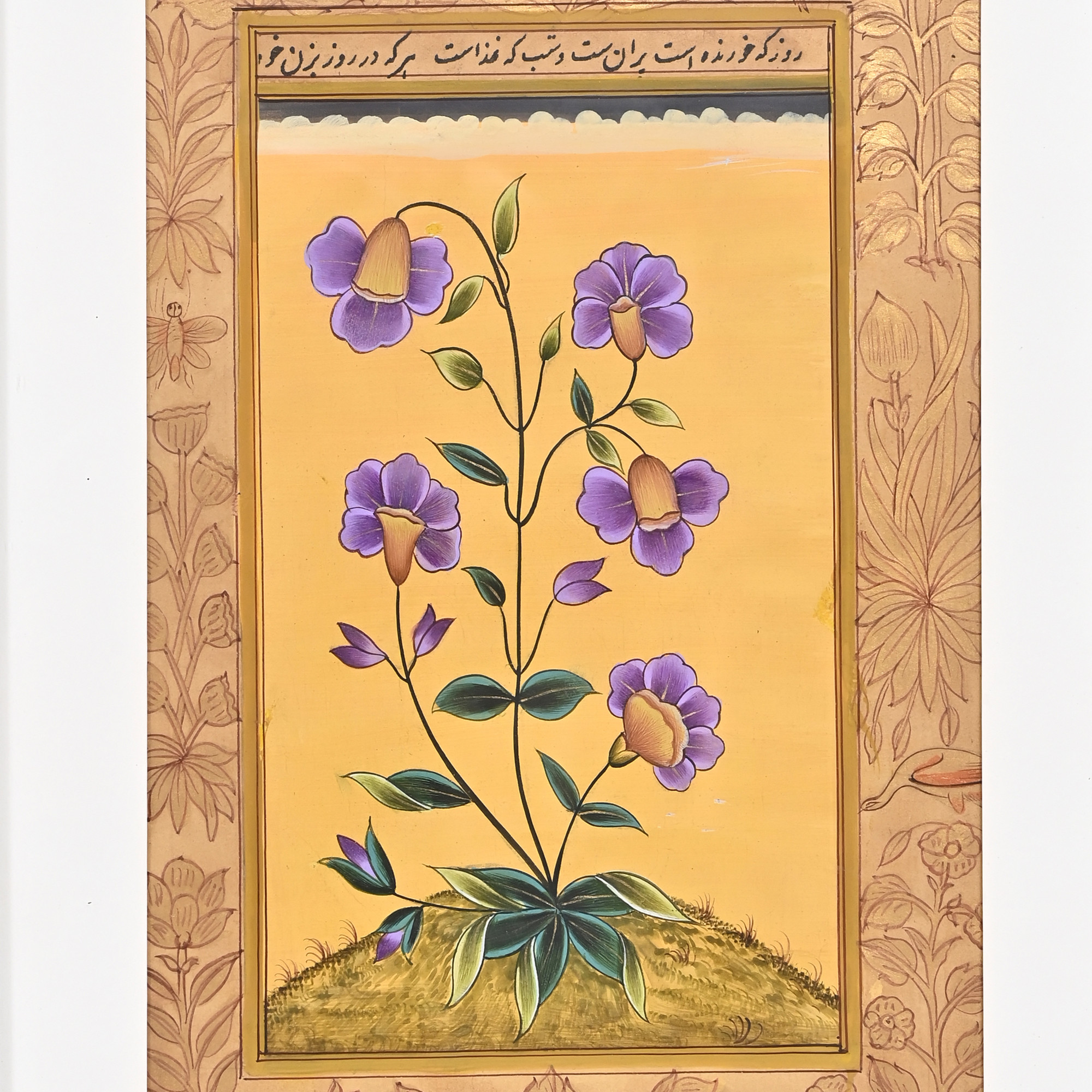 Royal Violet Blooms