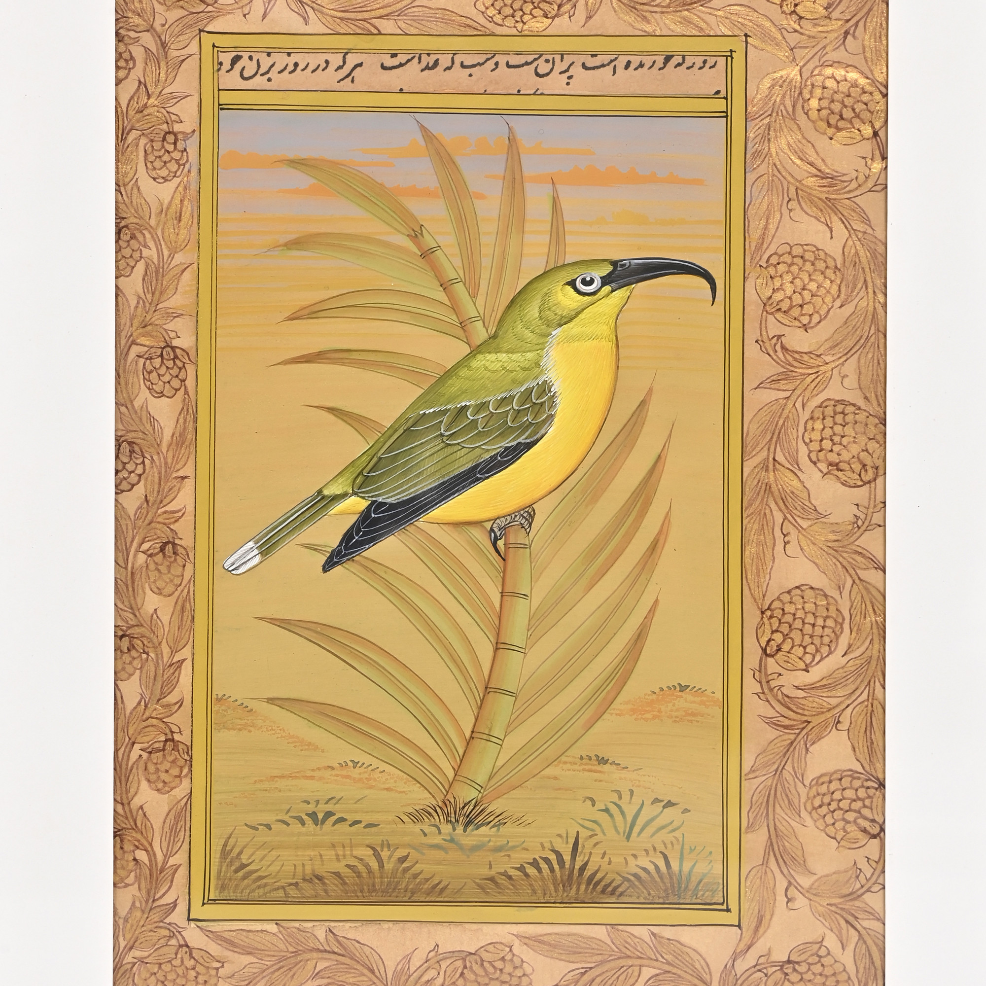 Golden Sunbird