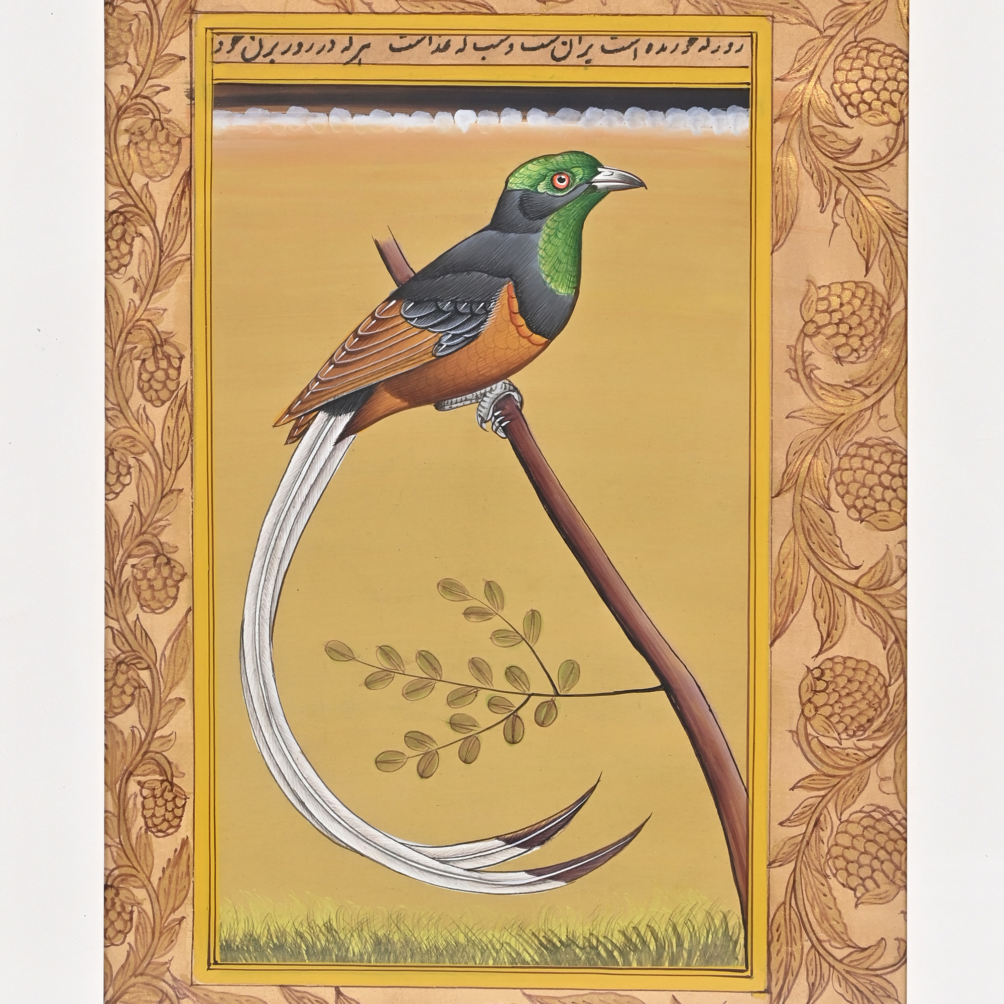 Emerald Paradise Flycatcher