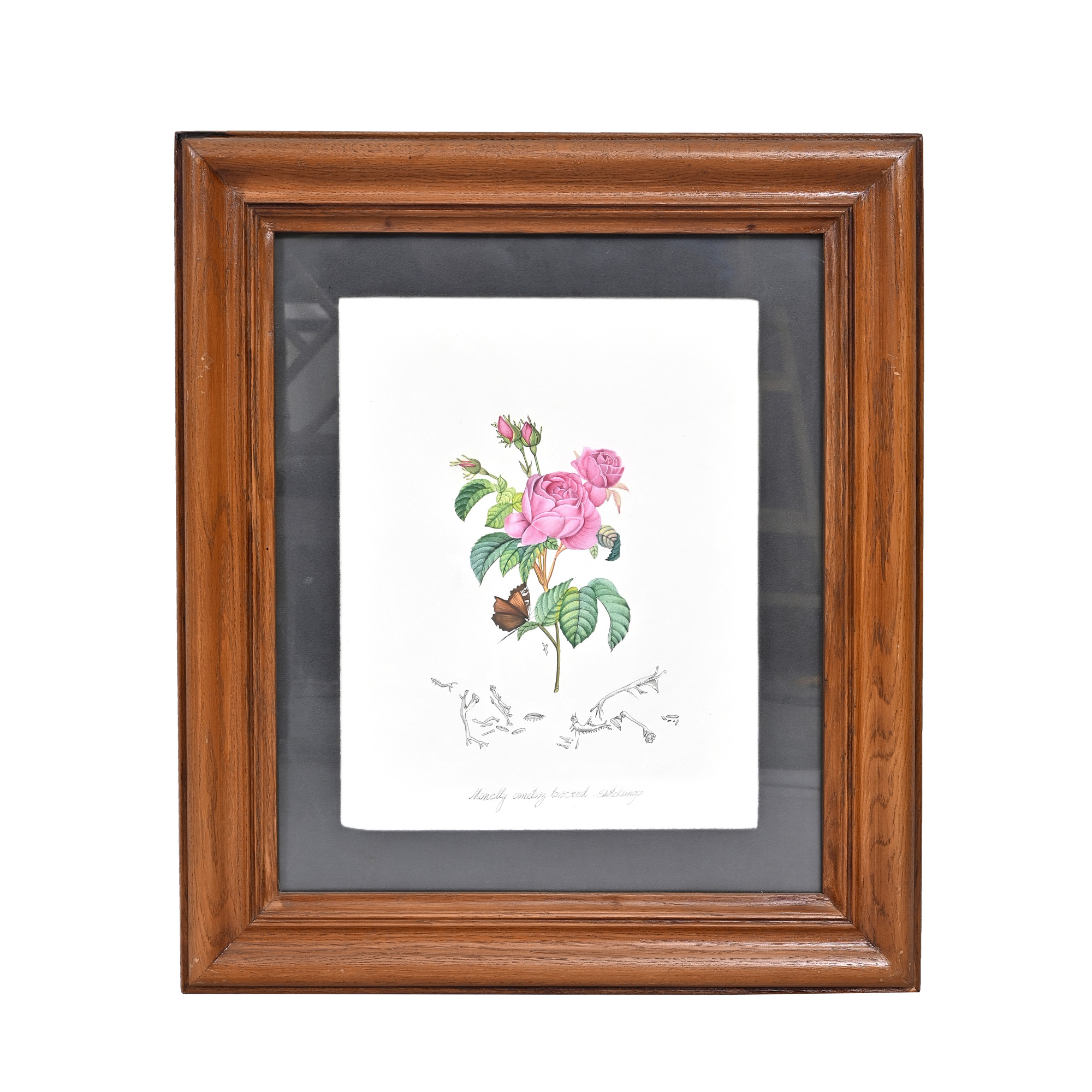 Wild Rose Bloom