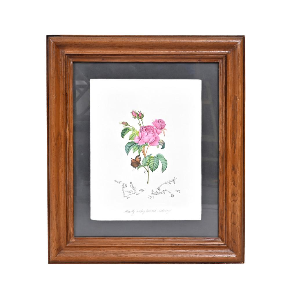 Image of Wild Rose Bloom
